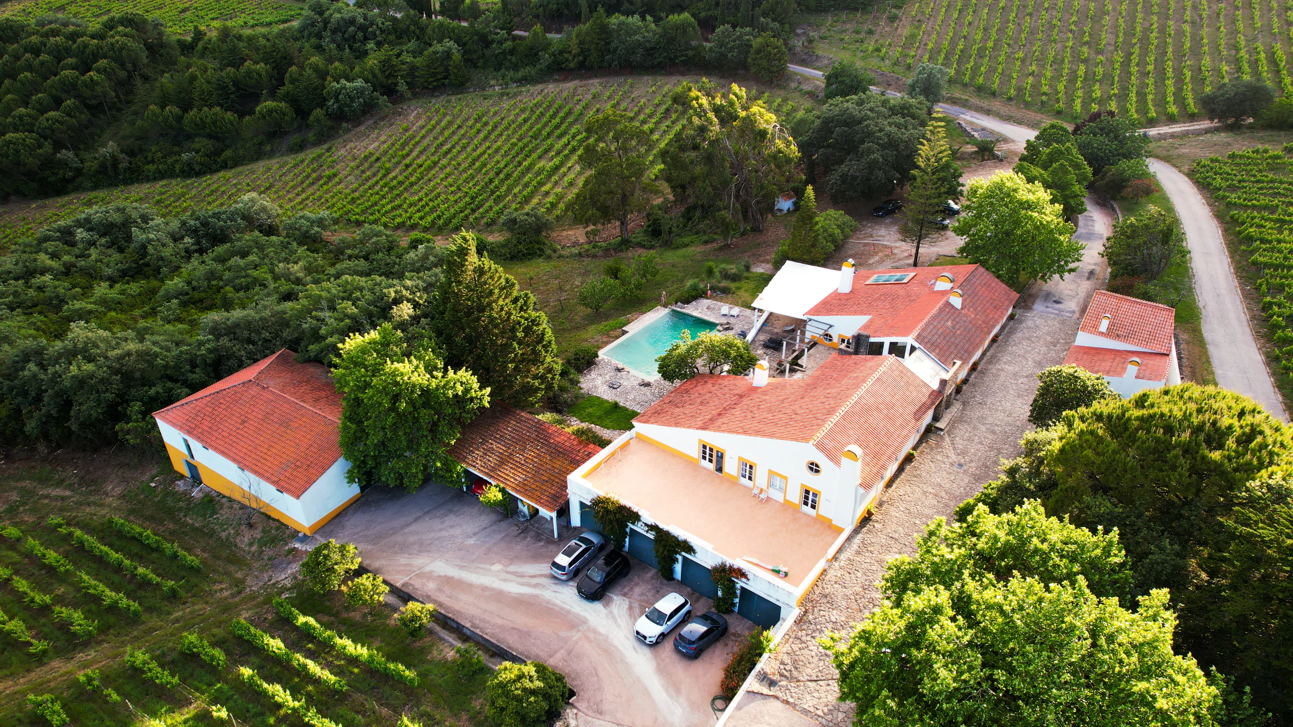 Quinta da Murta - fotografia 1 do projeto